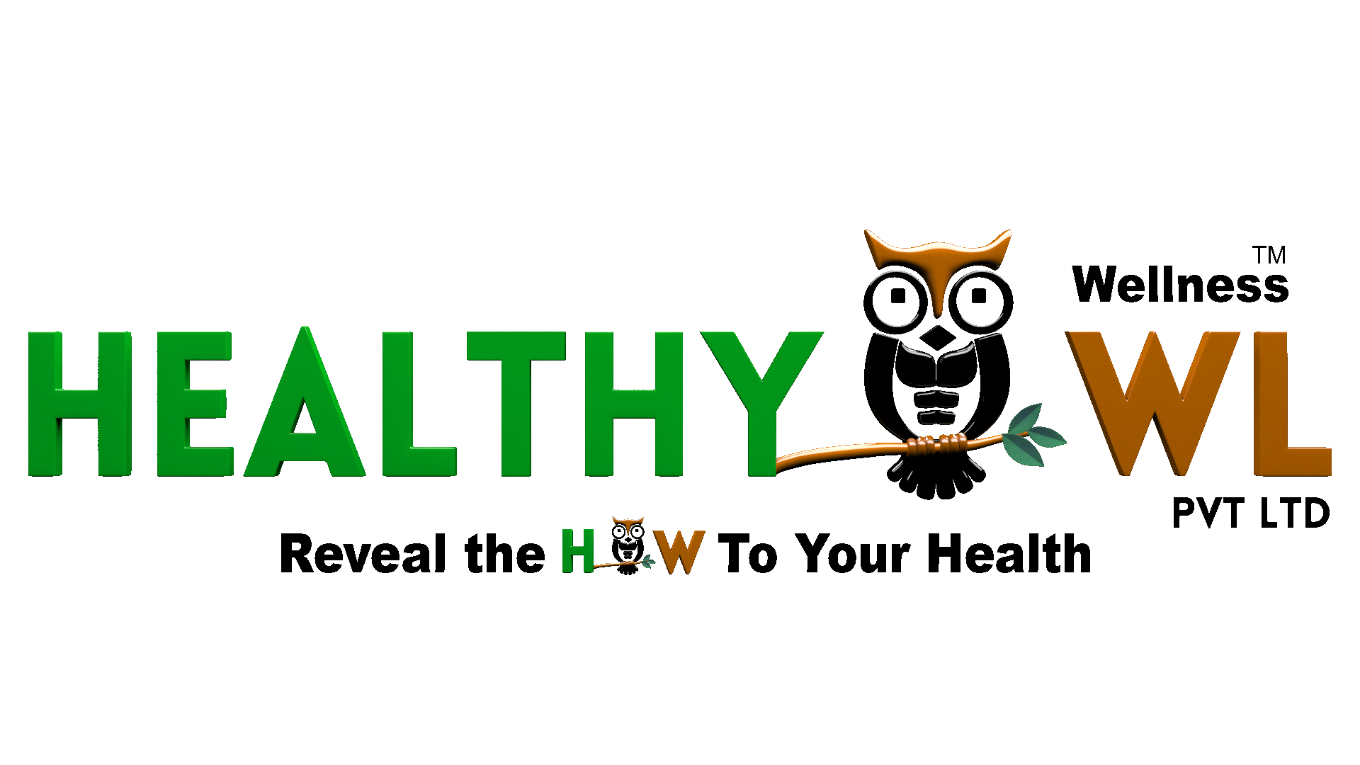 Healthy Owl